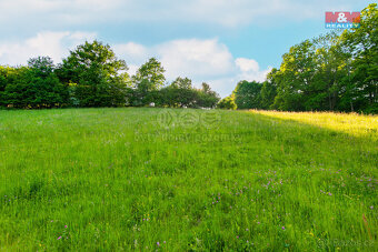 Prodej louky, 18692 m², Jílové u Prahy - 14
