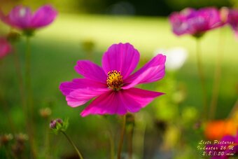 Dálkoměrný FED 3 + Industar 26M (2.8/50 mm) - 1961 - 14