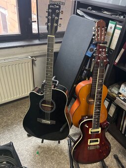 Hagstrom Super Viking a Epiphone Casino - 14