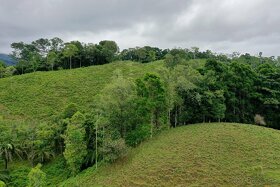 Farmy Kostarika Rio Claro - 14