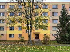 Prodej družstevního bytu 2+1 o výměře [51 m2]  ulice Mitušov - 14
