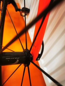 Specialized Smatrwelo D´alusio - 14