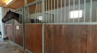 Nabízíme exkluzivně k prodeji jezdecký areál s 26 boxy, rodi - 14