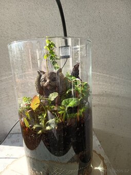 Prodej krevetek a doplňků - 14