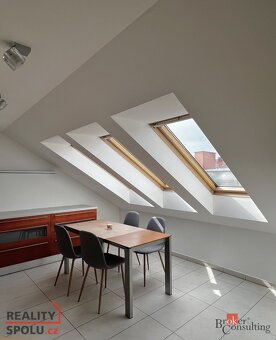 Prodej, byty/6 a více, 240 m2, Zacpalova 333/29, Předměstí,  - 14