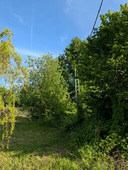 Stavební parcela Jenišovice 1293 m2 - 14