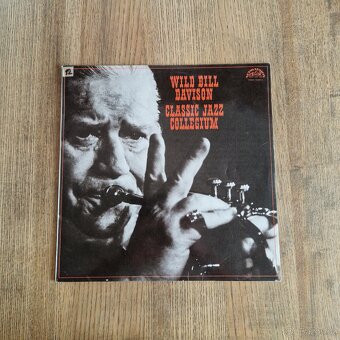 20x LP vinyl, české, různé žánry #2 - 14