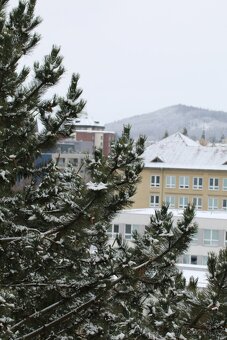 Canon EOS 70D + Tamron 70-300mm VC USD - 14