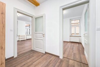 PRODEJ ZREKONSTRUOVANÉHO BYTU 3+KK, RIEGROVA, ČB - 14