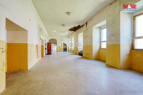 Prodej historického objektu, 465 m², Skapce - 14
