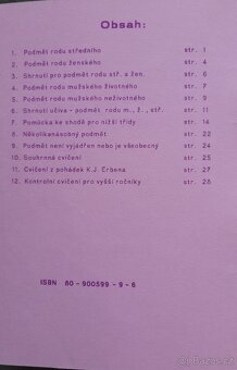 Slovník,  Český jazyk, pravopis - 14