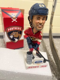 Florida panthers Tomas  Vokoun - 14