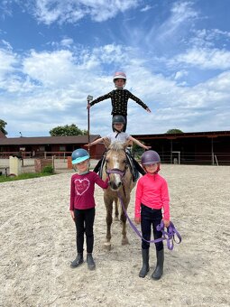 Sepík - stáj, kde se váš talent rozvine naplno - 14