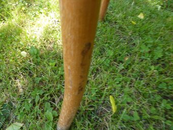 Židle Thonet 4 ks - cena za vše 1.600,- - 14