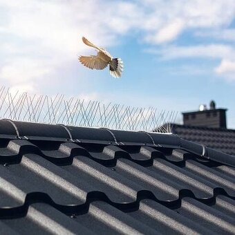 PROFESIONÁLNÍ ČIŠTĚNÍ FASÁD, STŘECH - 14