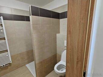 Pronájem bytu 1+kk, 45m2 Chlumec nad Cidlinou - 14