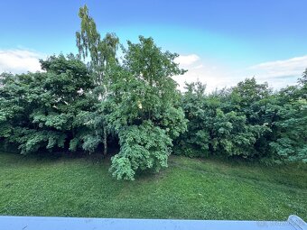 Pronájem, byt 1+1, 36 m, Zadní Vinohrady 4665, Chomutov, Čes - 14