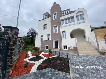 Pronájem nově zrekonstruovaných bytů 1kk v rezidenční vile s - 14