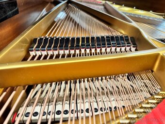 Steinway & Sons Modell D- 274 cm Only now super price - 14