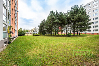 Prodej bytu po kompletní rekonstrukci 3+kk/L, 72m2, Stodůlky - 14