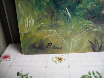 Obrazy z nálezu - 14