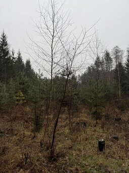 Prodám pozemky v k.ú. Veliny - 14