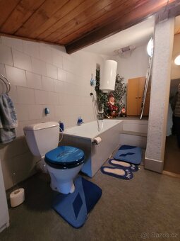 Prodej rodinného domu 400 m², pozemek 1 054 m² Moravany - 14