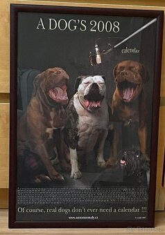 Foto Obrazy Antonín Malý s motivy psů 3 ks - 14