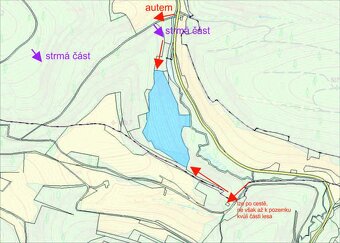 Prodej pozemku - louka, les - 14