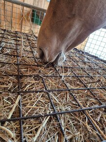 Kovový kryt na příkrmiště/ víko na příkrmiště - 14