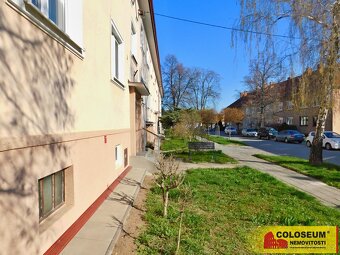 Hustopeče, byt OV 2+1, výhled do zeleně, krbová kamna, po re - 14