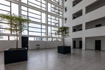 Pronájem bytu 2+kk, 65 m2 - Plzeň - Skvrňany, ev.č. 00733 - 14