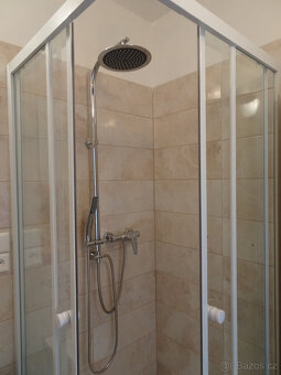 Pronájem slunného bytu 2+1 - 14