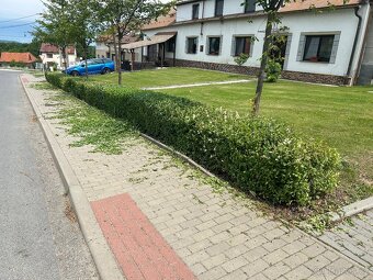Údržba zeleně Hubáček - 14