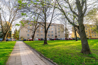 Prodej investičního bytu 2+1 - 14