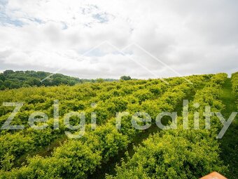 Polom - Jabloňový sad 9760m² s zahradním domkem na prodej - 14