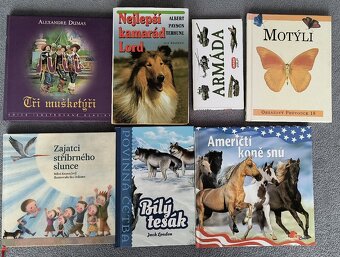 Dětské knihy-výprodej - 14