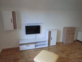 Pronajmu 2 generacni dum -2.byty 3kk + 2kk+ zahrada na grill - 14