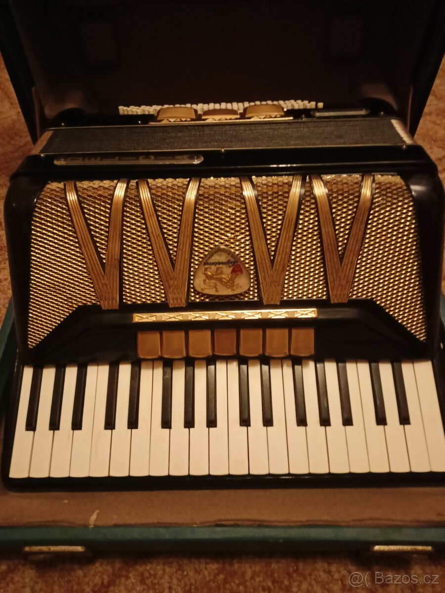 Akordeon LIGNATONE a Delicia - 15