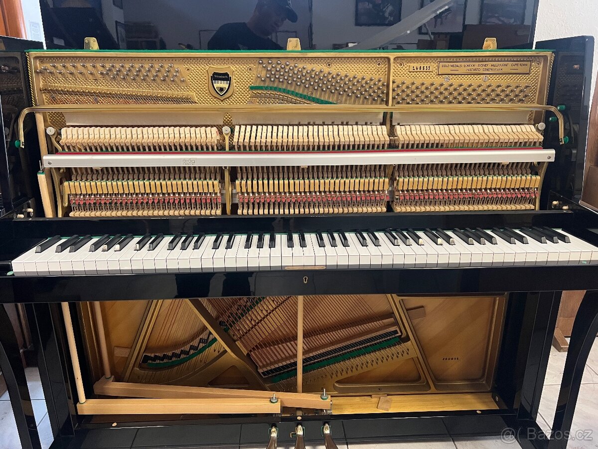 Weinbach-Petrof se zárukou 5 let, první ladění a doprava - 15