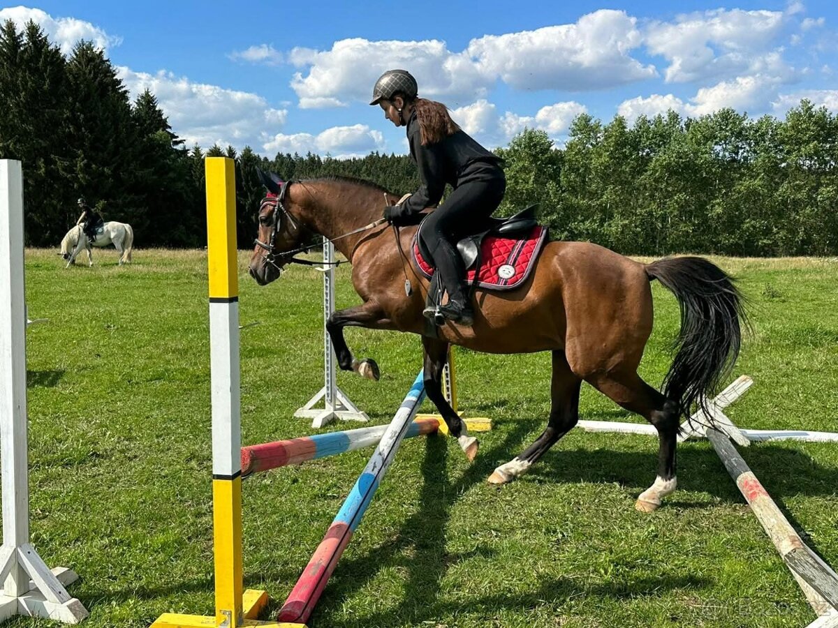 Dva koně pro začátečníky - 15