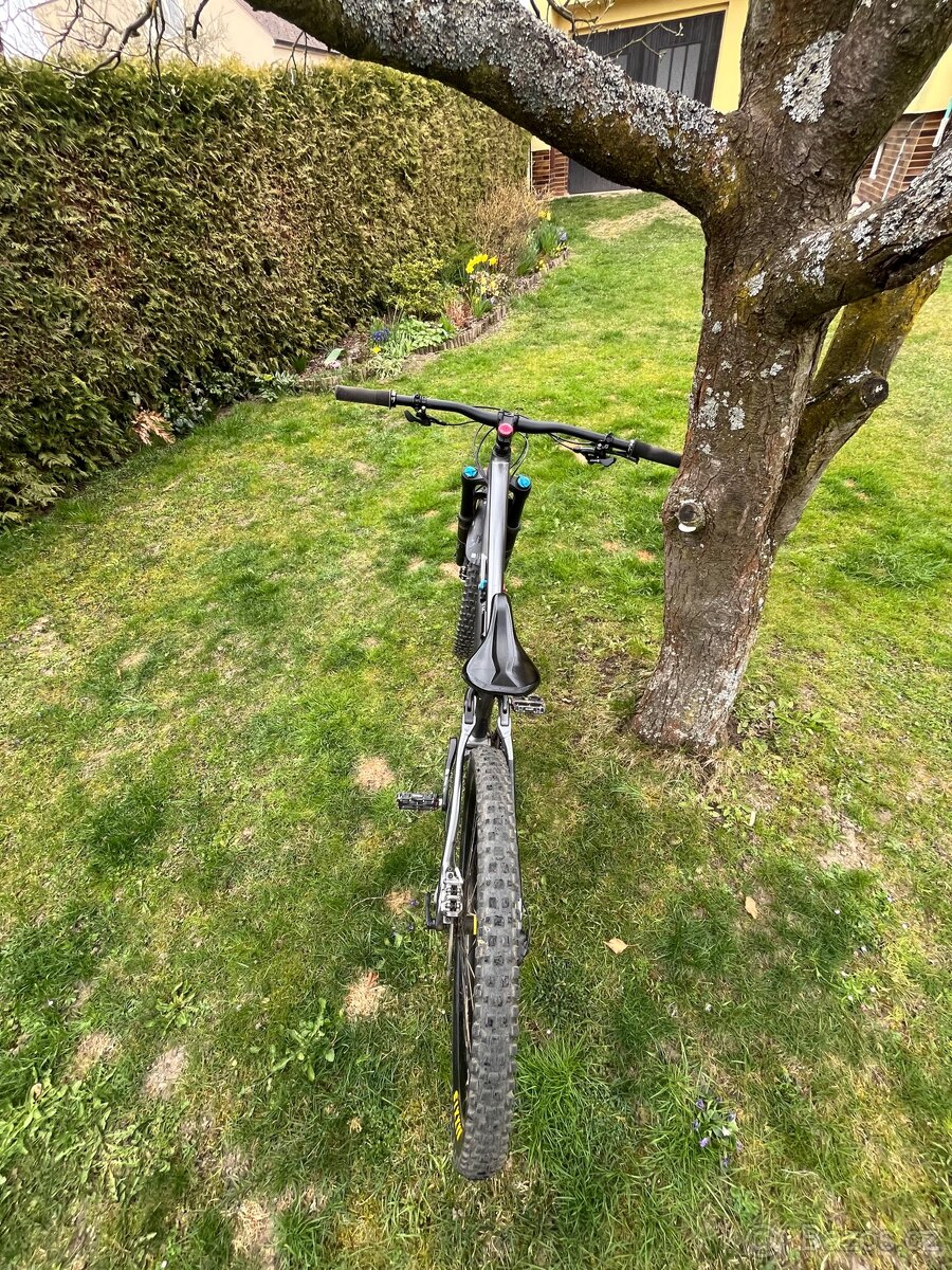 Specialized - 15