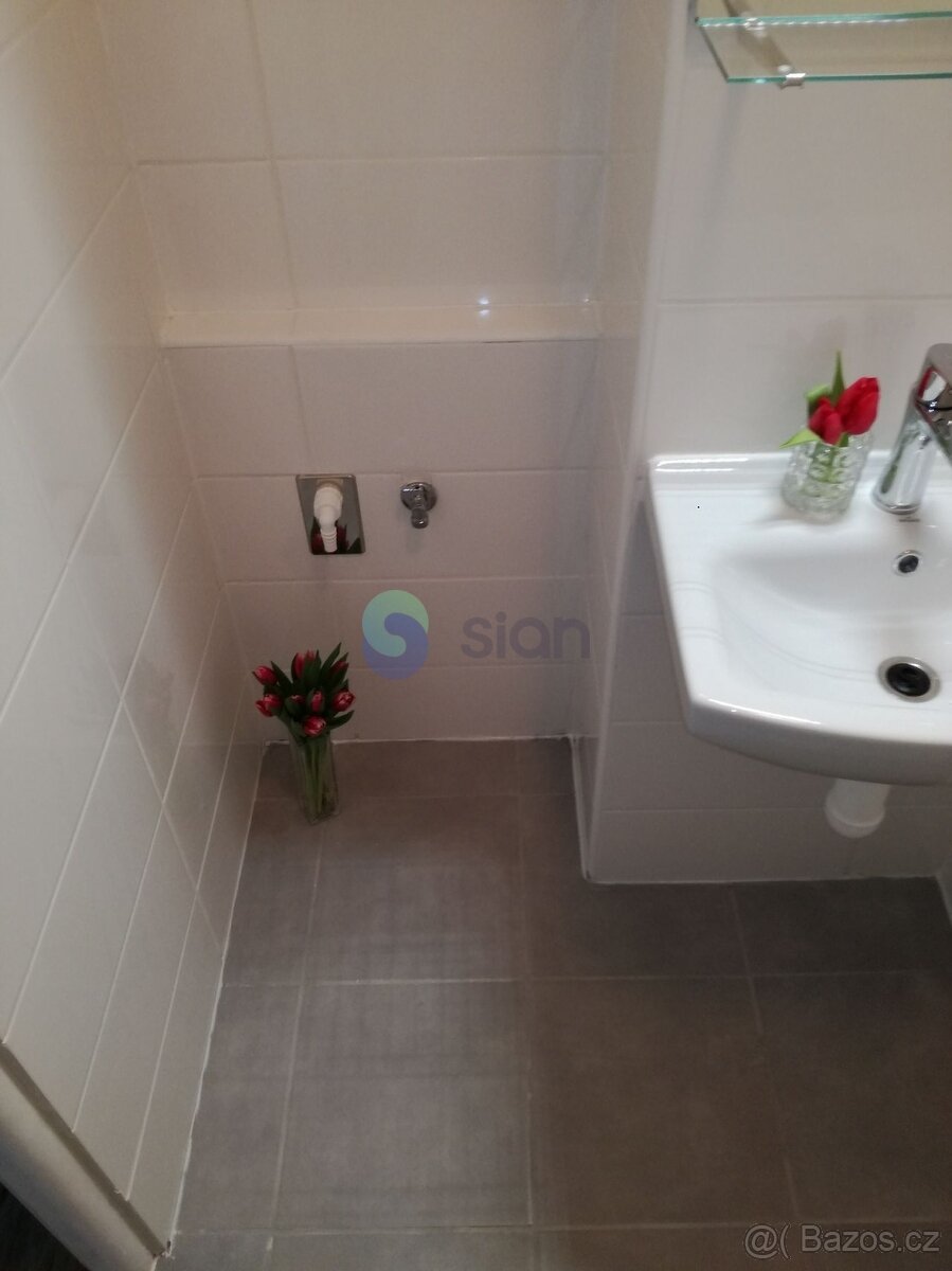 Podnájem bytu 2+1 55 m2, ul. Mitušova 1423/77, Ostrava - Hra - 15