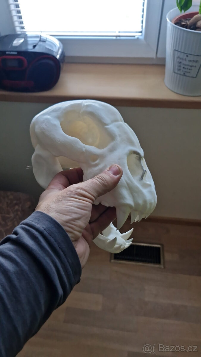 Lidojedi - masky na maškarní ples - 15