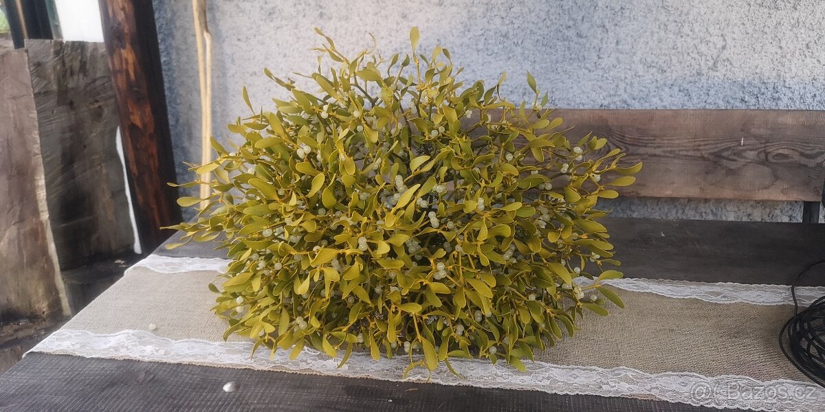 Prodám krásné jmelí na dekorace, do kytic apod. - 15