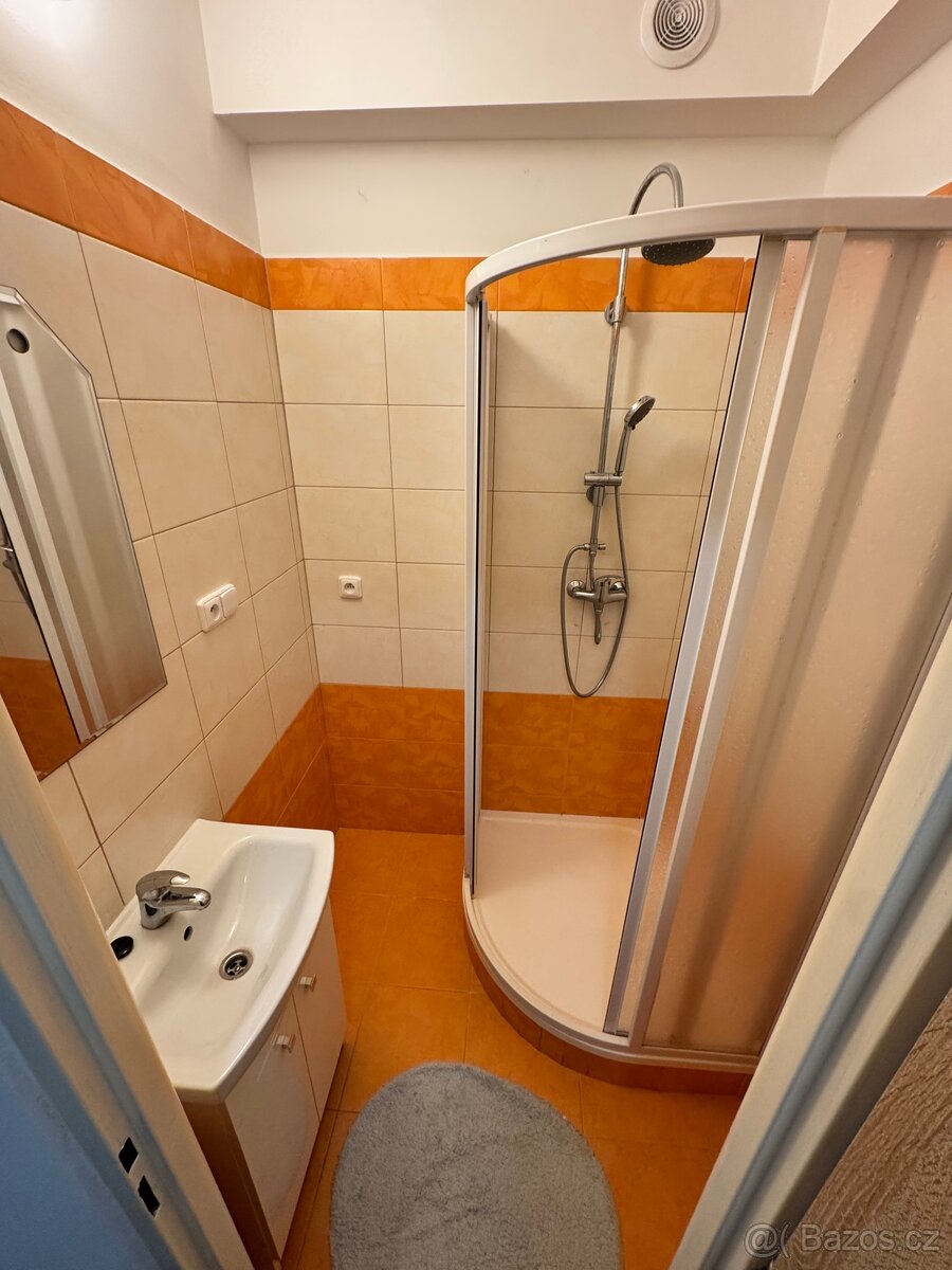 Nabízím pronájem bytu 2+1 Nejdek - 15