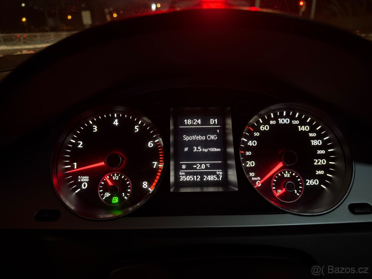 Passat B6 EcoFuel (cng) - 15