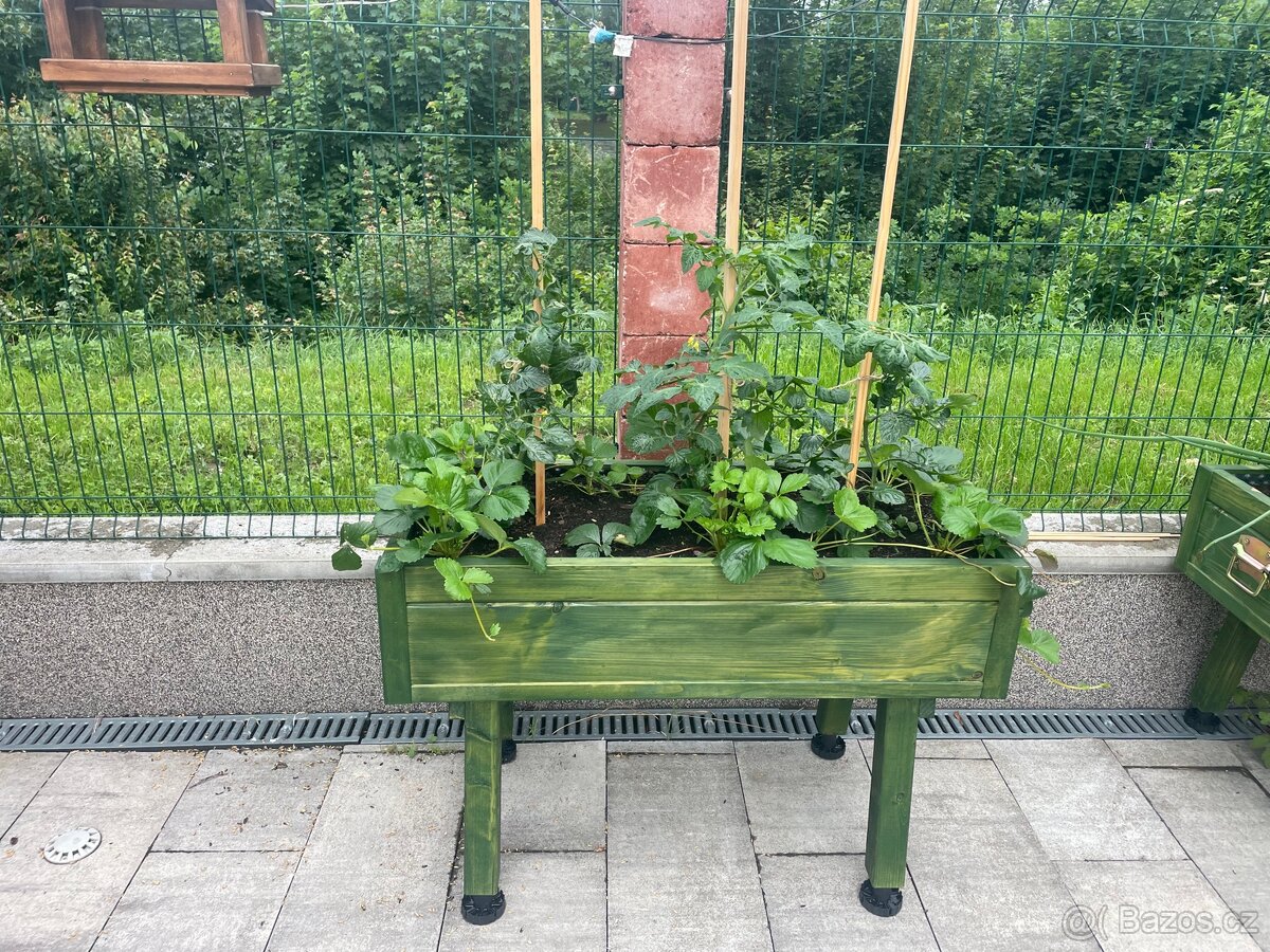 Balkonove kvetinace - 15