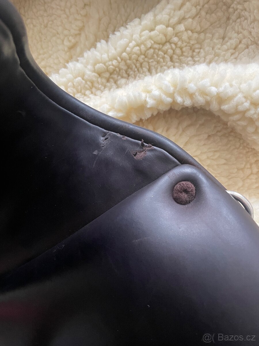 Drezurní Childéric 17,5 - 15