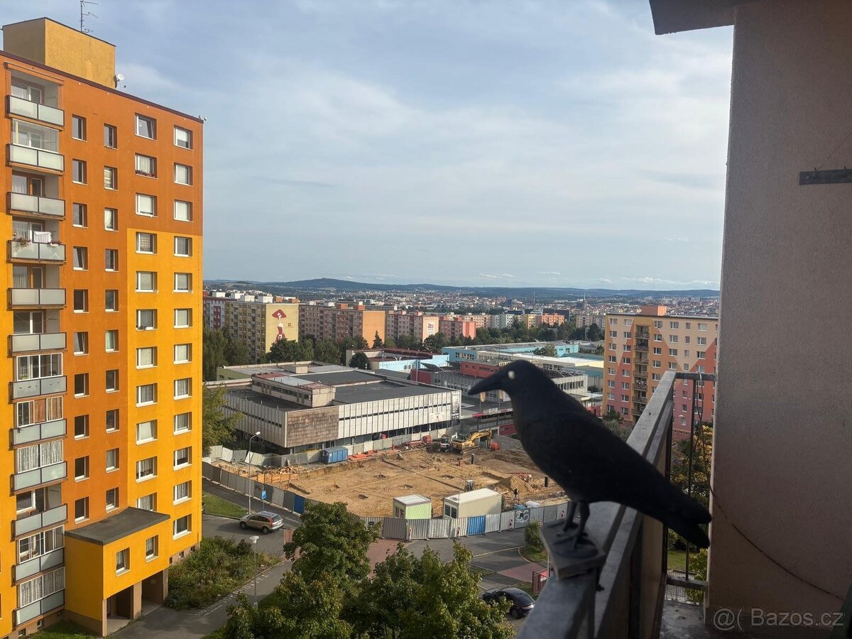 Pronájem, Byty 1+kk, 33 m² - Plzeň - Bolevec, ev.č. 00039-1 - 15